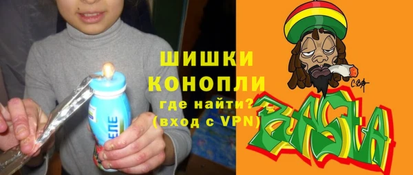дмт Мегион
