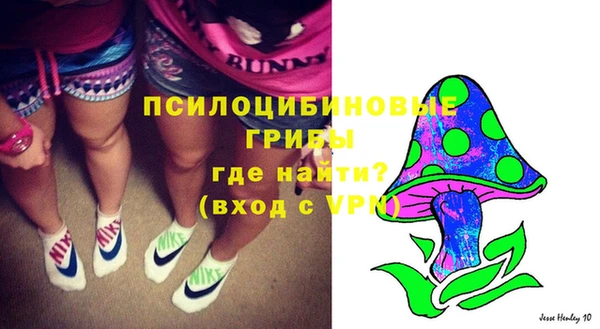 ALPHA PVP Медвежьегорск