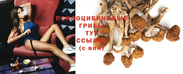 крисы Медногорск