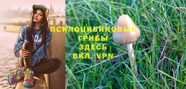 ALPHA PVP Медвежьегорск
